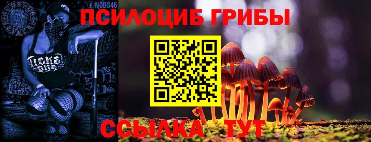 купить наркотик  Вход с VPN  Псилоцибиновые грибы Cubensis  Прокопьевск  Псилоцибиновые грибы GOLDEN TEACHER 